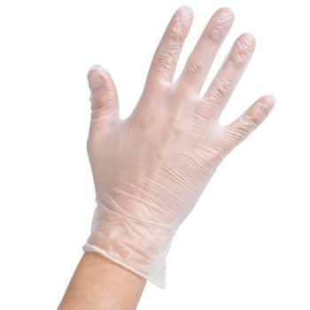 Vinyl Disposable Gloves Powdered - Large (100)