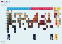 Indola Colour Chart - Large